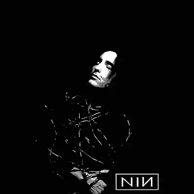 Picture for song '"SOMEWITCH" NINE INCH NAILS INDUSTRIAL ROCK BEAT' by artist 'DevilleProducer'