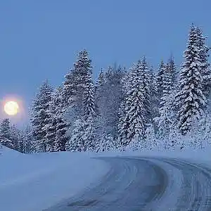 Picture for song 'New Year's Moon' by artist 'Friscic - McIntyre songs'