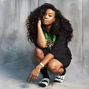 Picture for song 'As You Wish *SZA Type Beat* FREE D/L' by artist 'THE NETRUNNERS'