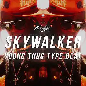 Picture for song 'Skywalker (BUY 1 GET 4 FREE)' by artist 'Wendigo'