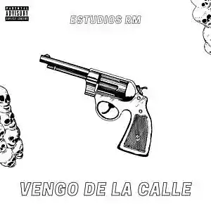 Picture for song 'Vengo de la Calle' by artist 'Estudios RM'