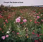 Picture for song 'Must Be....(98)' by artist 'Imari Tones'