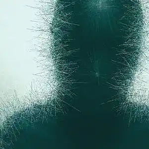 Picture for song 'suicide note' by artist 'Koh Cyrus'