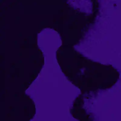 Picture for song 'Adore (Lil Baby x Future x Rylo Rodriguez)' by artist 'LEXI BANKS'