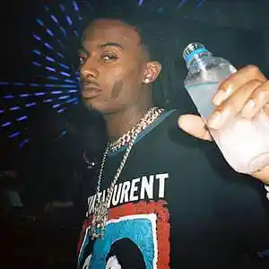 Picture for song 'Valkyrie pt2 - playboi carti type beat' by artist 'prod.allyd'