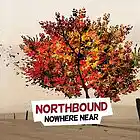 Picture for song 'Nowhere Near (NO TAGS) 50 EXCLU.!!!!!!!' by artist 'Tha Musik ExamineR'