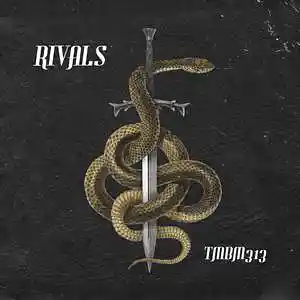 Picture for song 'Rivals' by artist 'TMBM313'