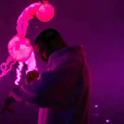 Picture for song '"Medusa" Drake Type Beat, Hard Trap' by artist 'Damon Fozz Beats'