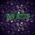 Picture for song 'Slow Motion' by artist 'Def Starz'