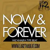 Picture for song '(NO SAMPLES) -- NOW & FOREVER (Buy 3 for $49)' by artist 'EAR 2 THA BEAT'