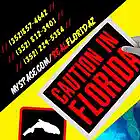 Picture for song 'just wanna ride' by artist 'FLOW-RIDAS'