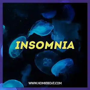 Picture for song 'Insomnia (Bryson Tiller Type Beat)' by artist 'Homiebeat'