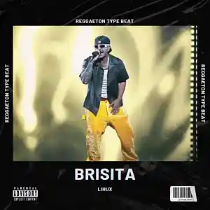 Picture for song 'FEID Type Beat - "Brisita"' by artist 'LihUx'