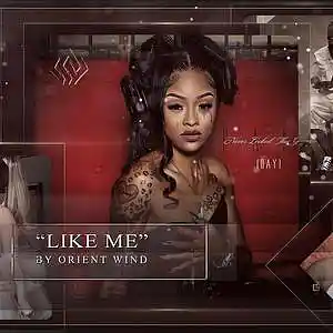 Picture for song 'Like Me' by artist 'Rnflower'