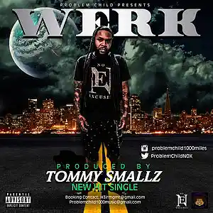Picture for song 'Werk Prod.Tommy Smallz' by artist 'Problem Child 1000 Miles'