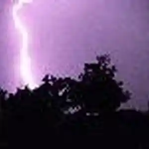 Picture for song 'Murder' by artist 'StepDaddyJ'