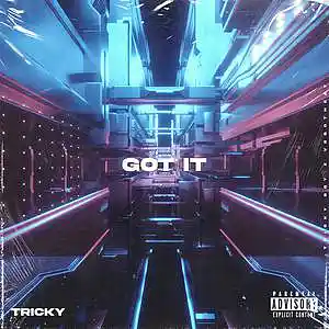 Picture for song '"GOT IT" Drake x Travis Scott Type Beat' by artist 'Tricky Boy'