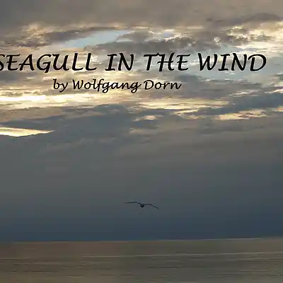 Picture for song 'Seagull In The Wind' by artist 'Wolfgang Dorn'