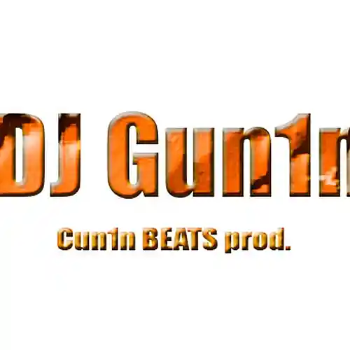 Picture for song 'Flame' by artist 'DJ Gun1n'