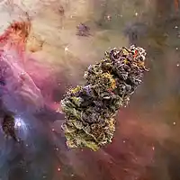 Picture for song 'Space Kush Rollin (she just) Prod by HighnLightn' by artist 'HighnLighN'