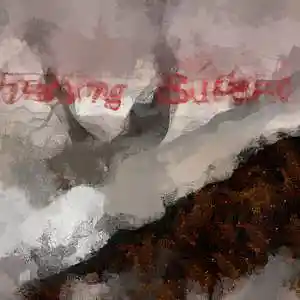 Picture for song 'The vision and the Riddle' by artist 'Ihae'