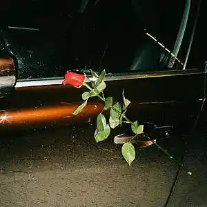 Picture for song 'Apologies (Buy 1 Get 3 Free)' by artist 'Kapellmaister'