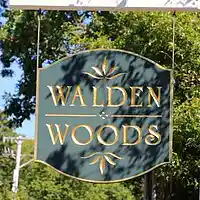 Picture for song 'Walden Woods' by artist 'Michael Bennett'