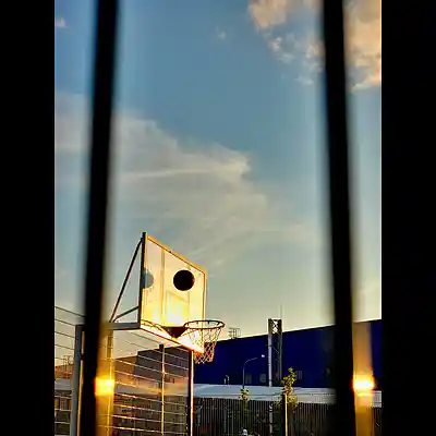 Picture for song 'Golden Cage' by artist 'MIROV'