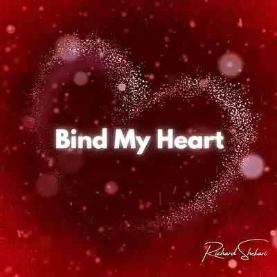 Picture for song 'Bind My Heart' by artist 'Richard Shekari'