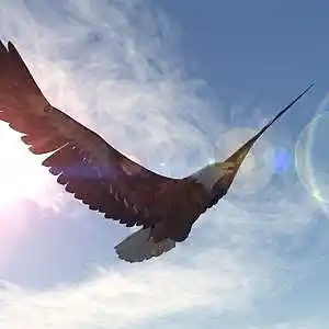 Picture for song 'Art Of Flying' by artist 'Torrey Desmond Rogers - sound tapestry'