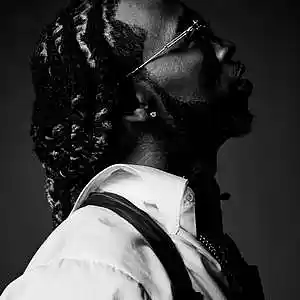 Picture for song 'Born With The Sauce' by artist 'Brentin Davis Beats'