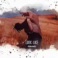 Picture for song 'Look Like *Travis Scott*' by artist 'Craig Maru'
