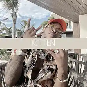 Picture for song 'Kitten (Vedo Type Beat) - Devezin.com' by artist 'Devezin'