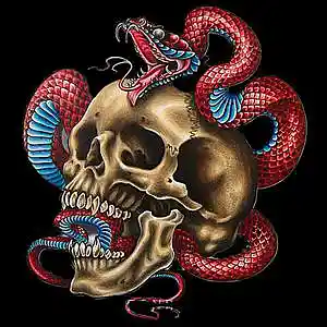 Picture for song 'FREESTYLE TYPE BEAT - ROCKSTAR' by artist 'Far Out Beats'