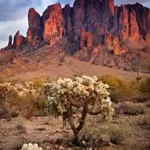 Picture for song 'Middle of Nowhere' by artist 'Johanna Renfro'