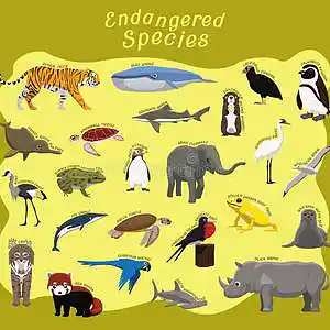 Picture for song 'Remarkable Species ft Verge111, also phraseROK' by artist 's9undV1ZNZ K 0 D 3 7'