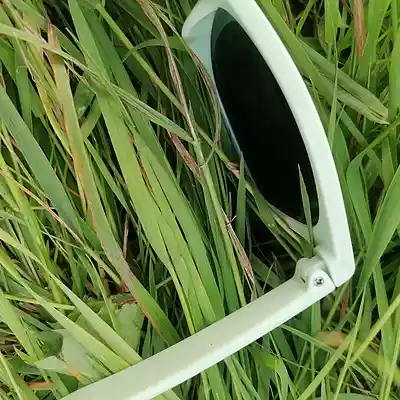 Picture for song '20240717_151718_1passt_fs' by artist '786 scheint-Al'lahs Bande'