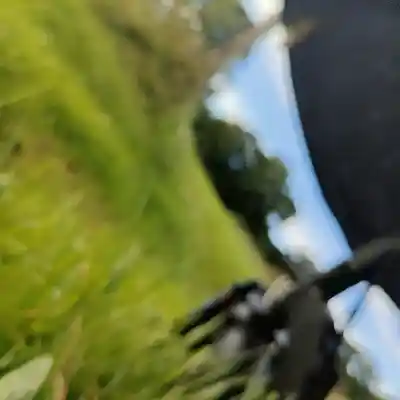 Picture for song '20240910_170440_Ich_Kom_me_rap_end_fs' by artist '786 scheint-Al'lahs Bande'