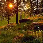 Picture for song 'Gånglåt - string version' by artist 'equality'