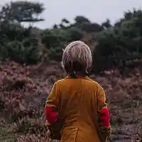 Picture for song 'Healing' by artist 'Golden Day'
