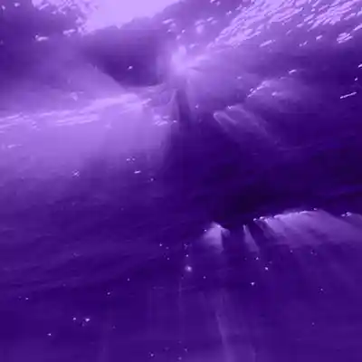 Picture for song 'Never Sinking (Drake x Millyz)' by artist 'LEXI BANKS'