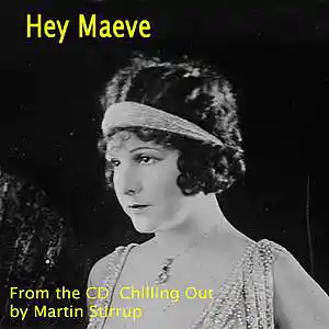 Picture for song 'CO 12 Hey Maeve' by artist 'martin stirrup'
