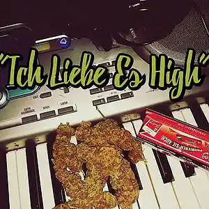 Picture for song 'Ich liebe es High' by artist 'TonyCash'