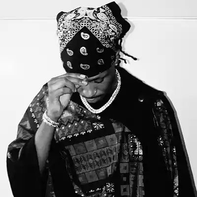 Picture for song 'Non Grata' by artist 'yung flippa'