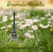 Picture for song 'It Matters To Me Cover' by artist 'Brandi Nicole'