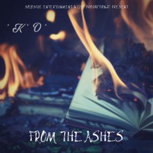 Picture for song '01 Im Fresh, Im Clean' by artist 'SoloSide Entertainment-1210 Productionz'