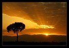 Picture for song 'NEW- Someday produced by CHITOWN.mp3' by artist '1NE and ONLY'