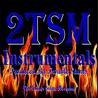 Picture for song '01 - Mr Stunts - Preach Instrumental' by artist '2TSM Trouble Stunts'