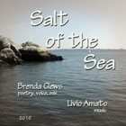 Picture for song 'Salt of the Sea (2:50min)' by artist 'Aural Pleasure: The Poetry of Brenda Clews'