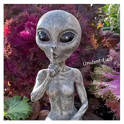 Picture for song 'Unidentified' by artist 'Bob Forbes'